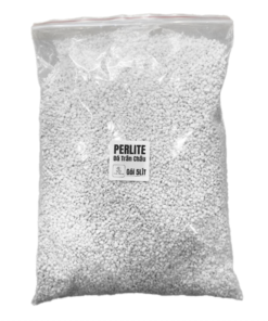 PERLITE 5 LIT