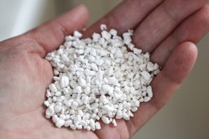 Perlite In Hand