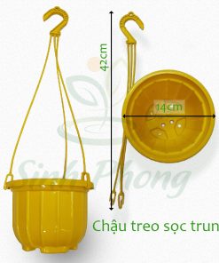 Chậu treo sọc trung 14x11