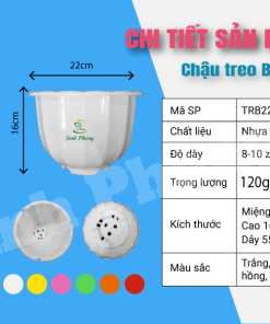 Alternative view of Chậu treo Bí 22x16