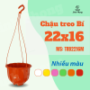 Chậu treo Bí 22x16