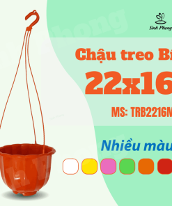 Chậu treo Bí 22x16