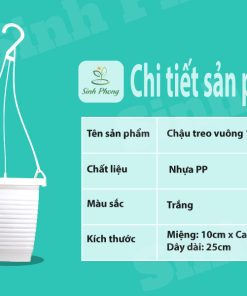 Alternative view of Chậu treo hình vuông 10x10