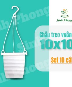 Chậu treo hình vuông 10x10