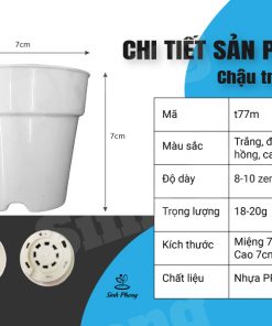 Alternative view of Chậu tròn 7x7 nhiều màu