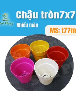 Chậu tròn 7x7 nhiều màu