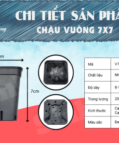 Alternative view of Chậu vuông 7x7 màu đen