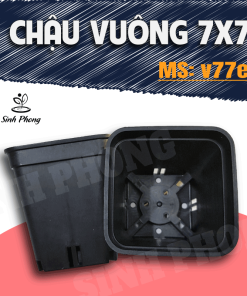 Chậu vuông 7x7 màu đen