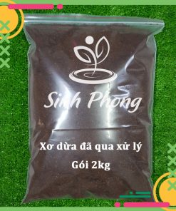 Alternative view of Mụn xơ dừa đã qua xử lý