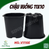 Chậu vuông 11x10 đen
