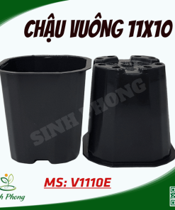 Alternative view of Chậu vuông 11x10 đen