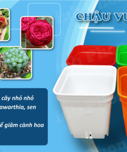 Alternative view of Chậu vuông 7x7 nhiều màu